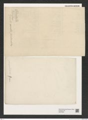 Diatomeae indet. Zeichnungen Sammlung Grunow (NHMW-BOT-W0375825)